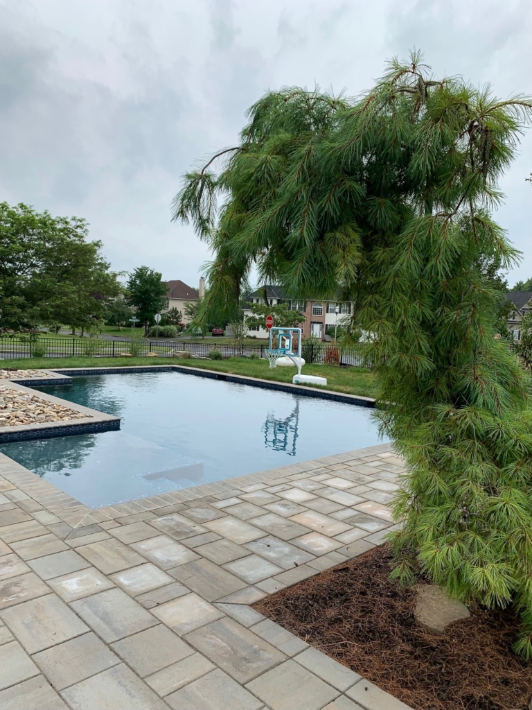 Custom Pools Gallery